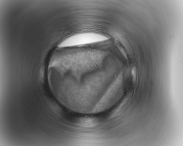 X0000088750404200706212118