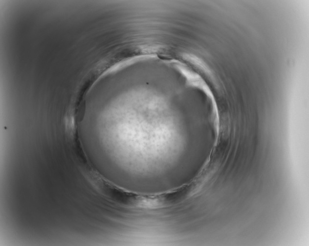 X0000088750405200706212118