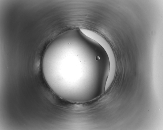 X0000088750406200706212118