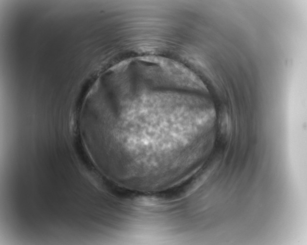 X0000088750408200706212118