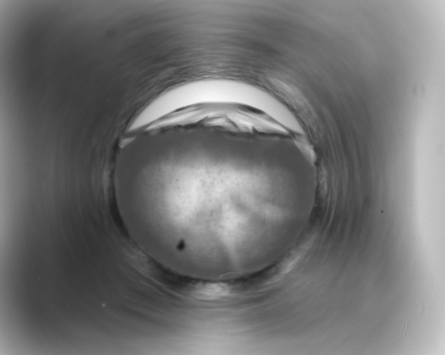 X0000088750409200706212118