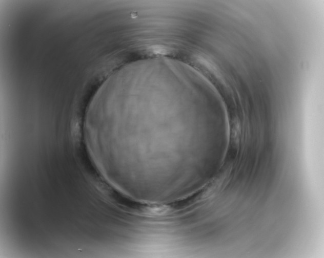 X0000088750410200706212118