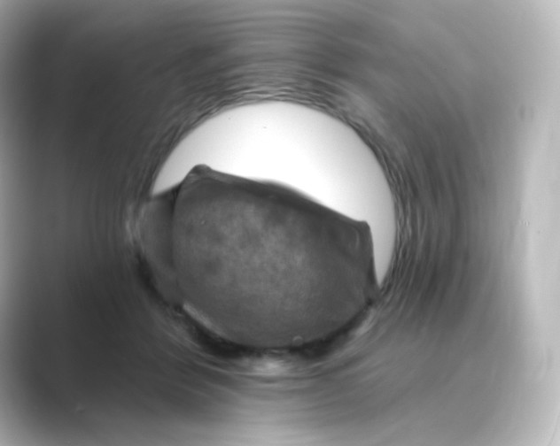 X0000088750412200706212118