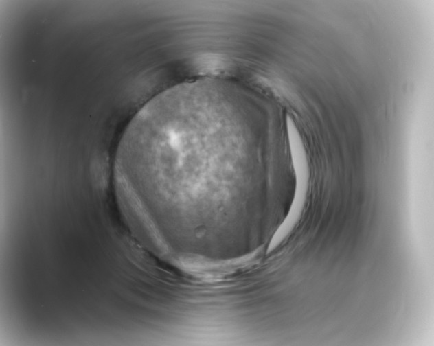 X0000088750413200706212118