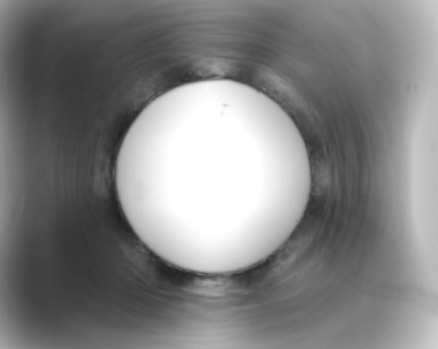 X0000088750414200706212118