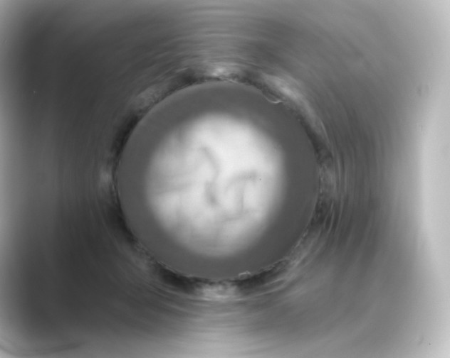 X0000088750415200706212118