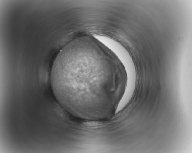 X0000088750417200706212118