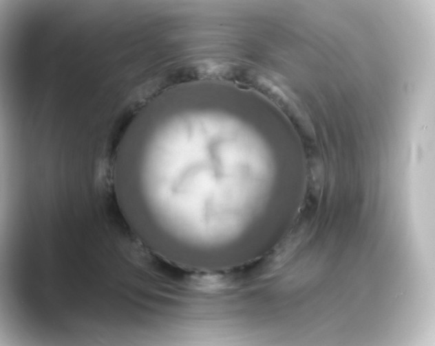 X0000088750419200706212118