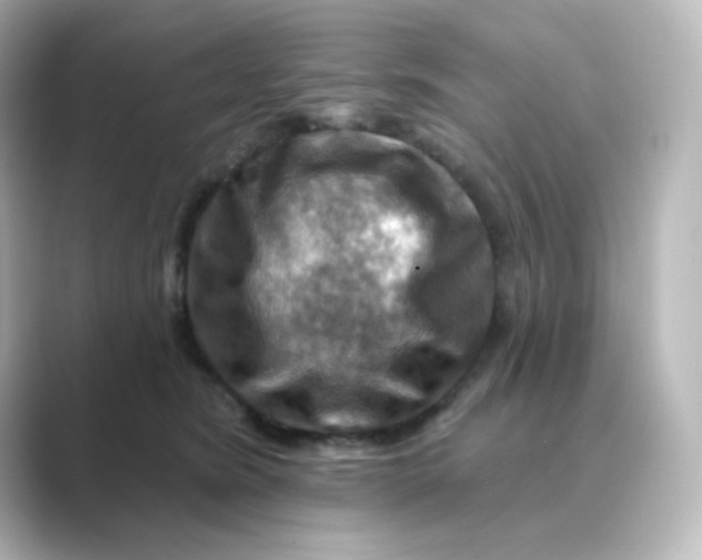 X0000088750420200706212118