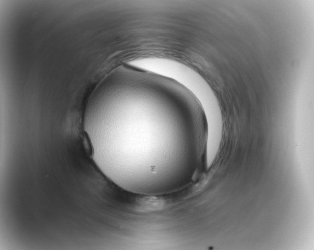 X0000088750421200706212118