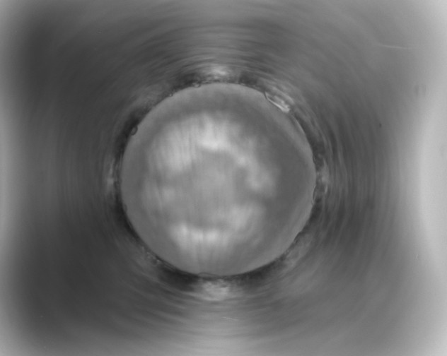 X0000088750423200706212118