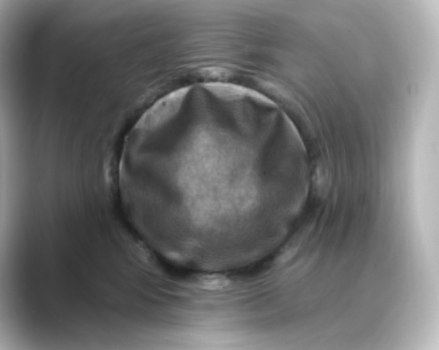 X0000088750424200706212118