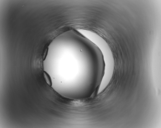 X0000088750425200706212118