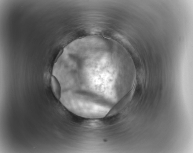 X0000088750427200706212118