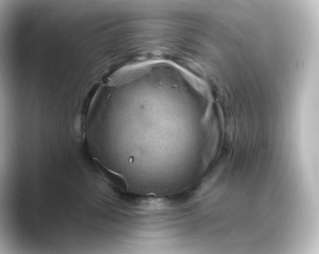 X0000088750428200706212118