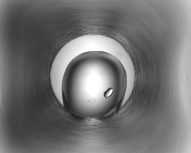 X0000088750429200706212118