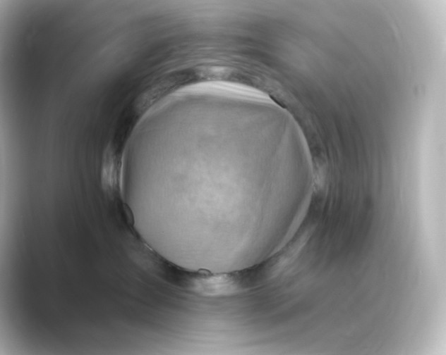 X0000088750431200706212118