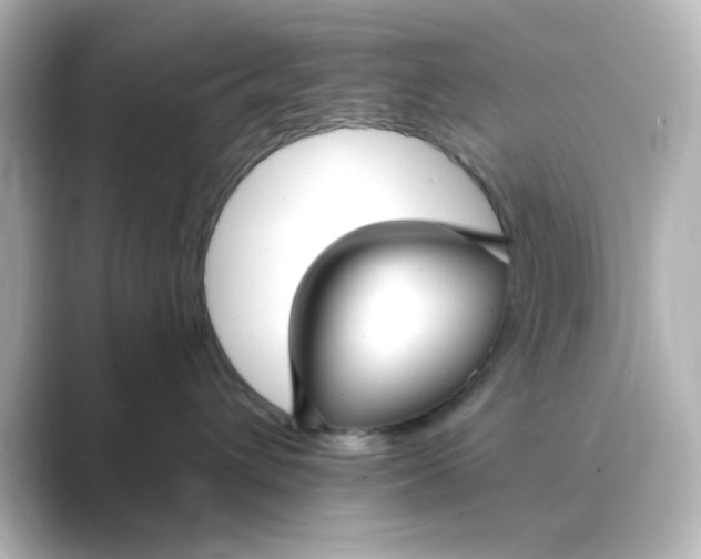 X0000088750432200706212118