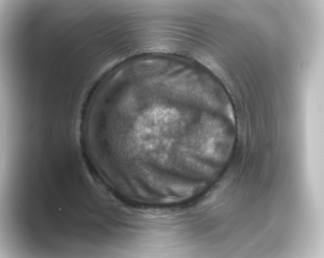 X0000088750434200706212117