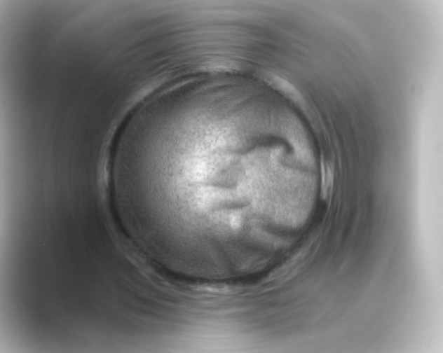 X0000088750435200706212117