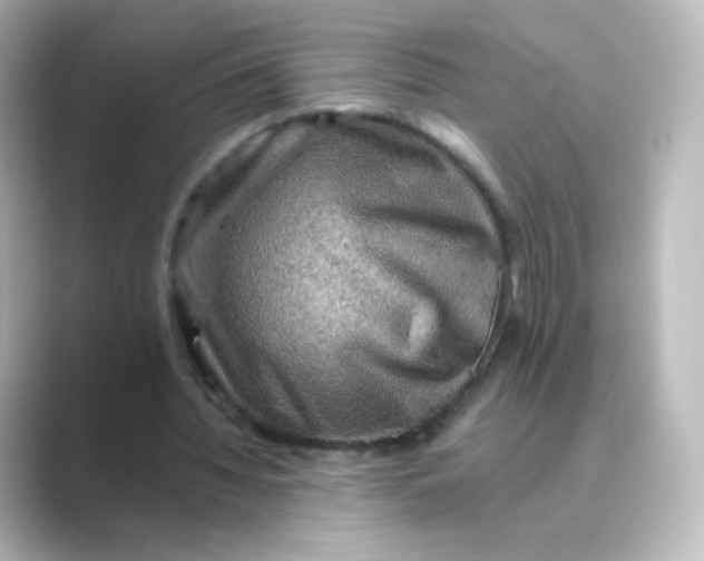 X0000088750436200706212117