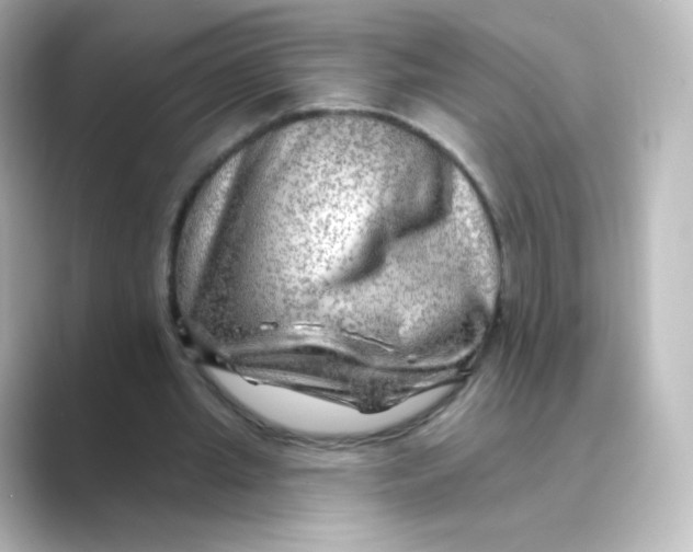 X0000088750437200706212117