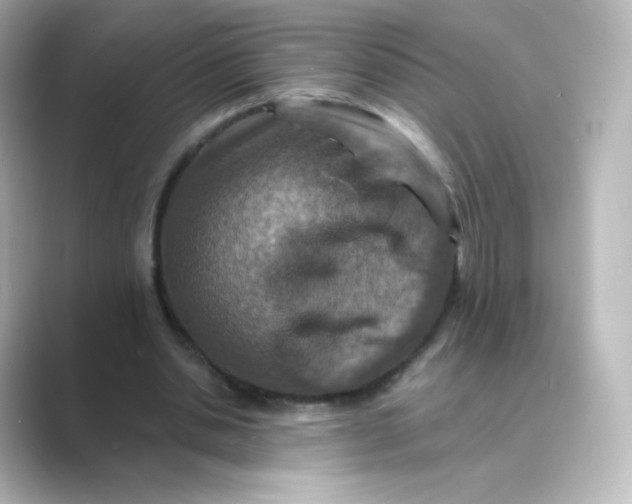 X0000088750438200706212117