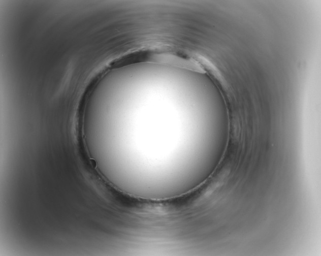 X0000088750439200706212117