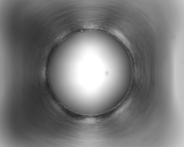 X0000088750441200706212117