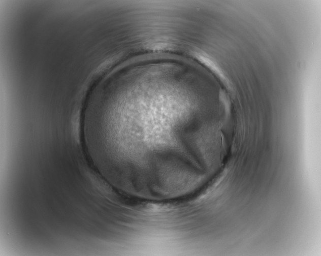 X0000088750442200706212117