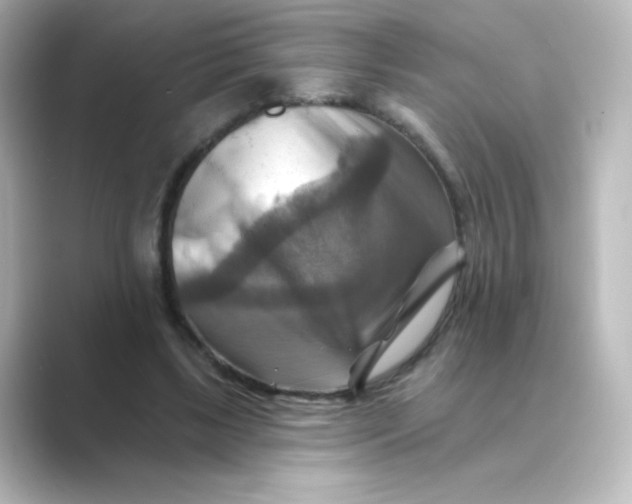 X0000088750443200706212117