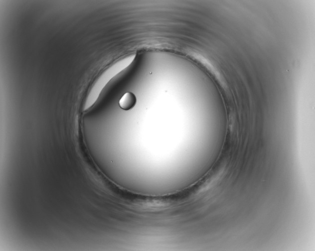 X0000088750445200706212117