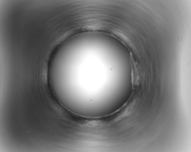 X0000088750446200706212117