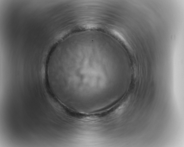 X0000088750447200706212117