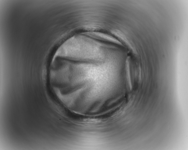 X0000088750448200706212117