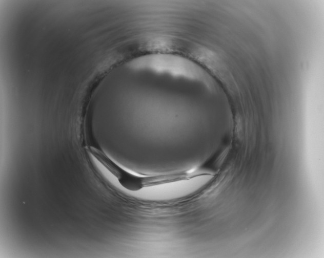 X0000088750449200706212117