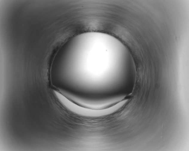 X0000088750450200706212117