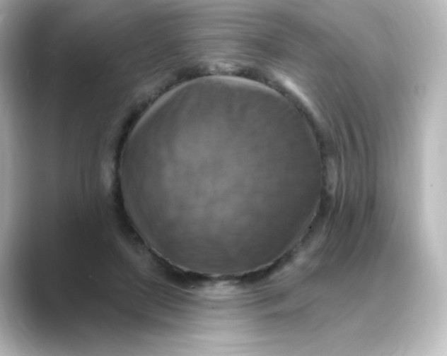 X0000088750451200706212117