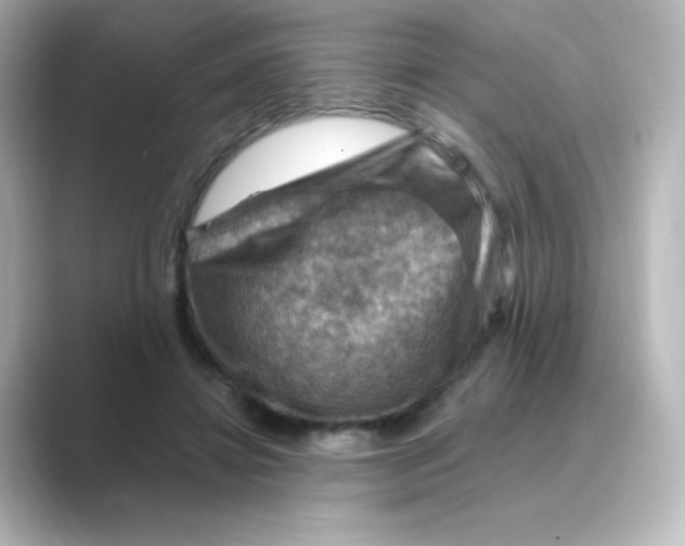 X0000088750452200706212118