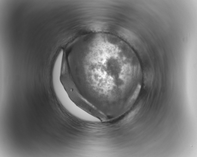 X0000088750453200706212118