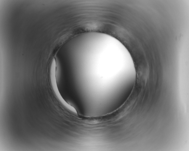 X0000088750454200706212118