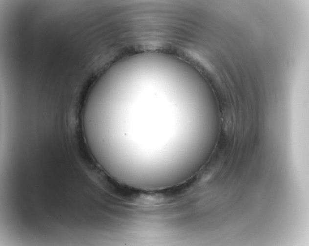 X0000088750455200706212118