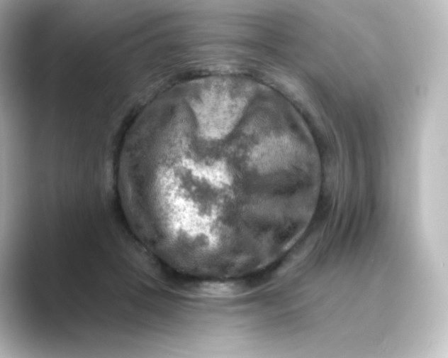 X0000088750457200706212118