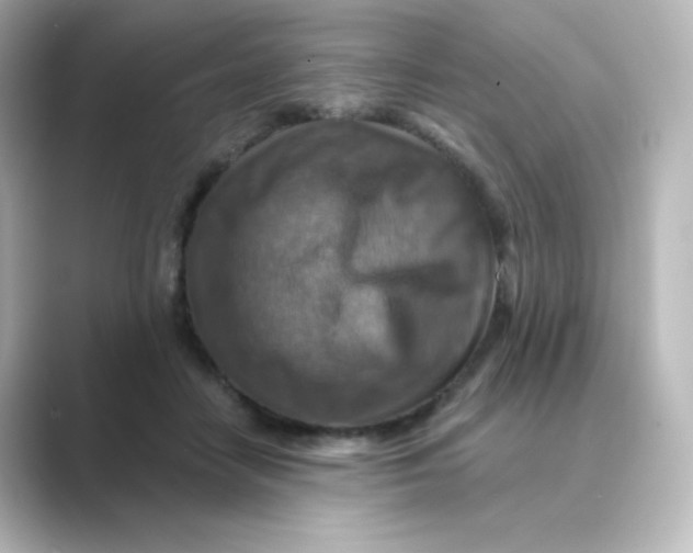 X0000088750458200706212118