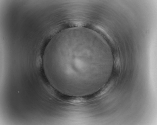 X0000088750459200706212118