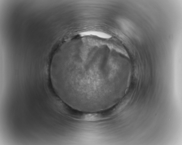 X0000088750461200706212118