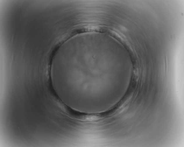 X0000088750462200706212118