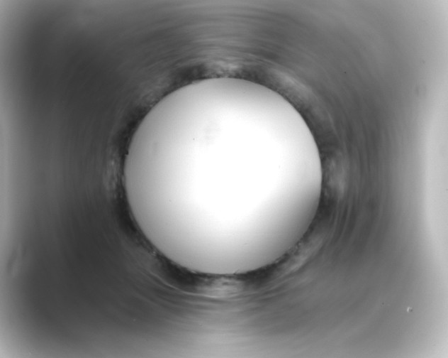 X0000088750463200706212118