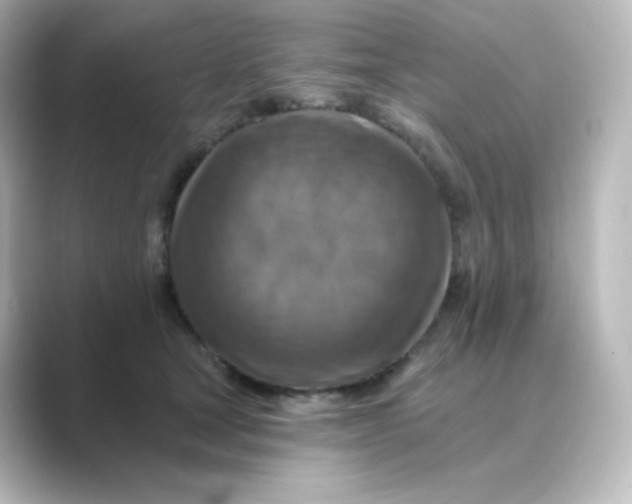 X0000088750465200706212118