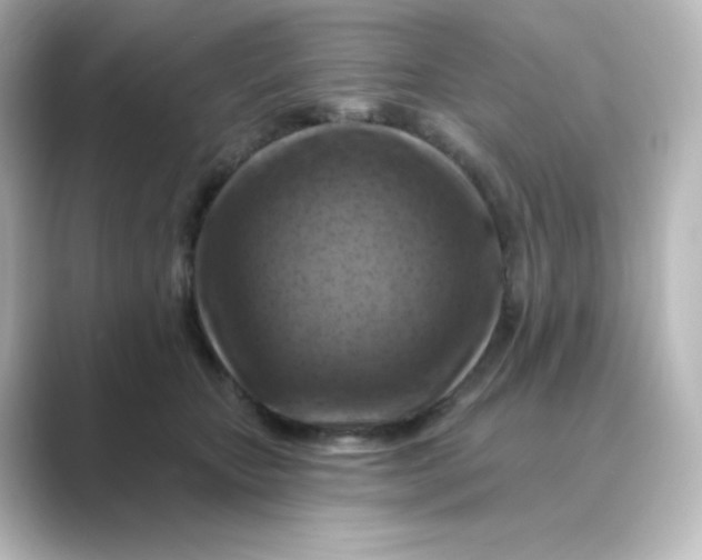 X0000088750467200706212118